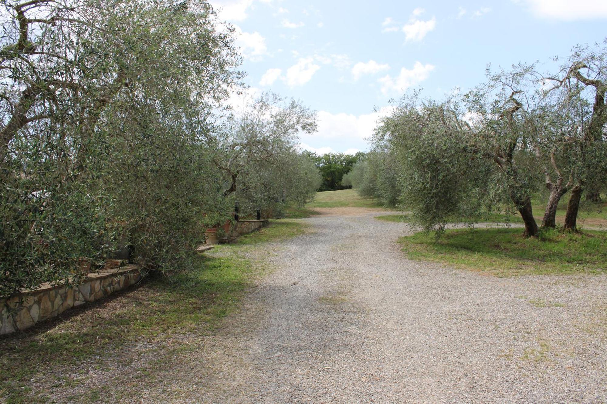 Agriturismo Cantagalli San Quirico dʼOrcia Εξωτερικό φωτογραφία