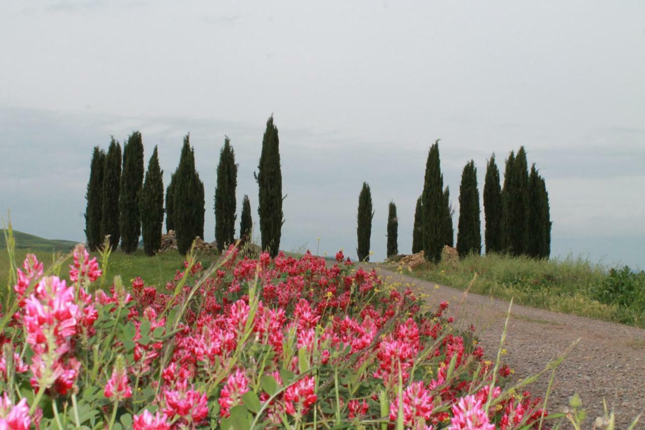 Agriturismo Cantagalli San Quirico dʼOrcia Εξωτερικό φωτογραφία